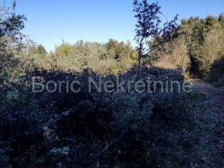 Agricultural land, Sale, Preko, Ugljan