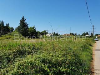 Agricultural land, Sale, Preko, Ugljan