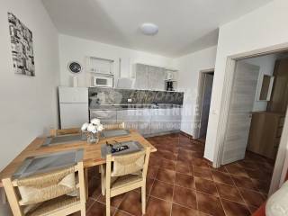 House with apartments, Sale, Vir, Vir