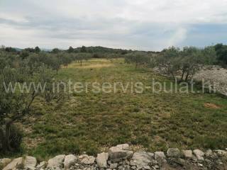 Agricultural plot, Sale, Šibenik - Okolica, Jadrija