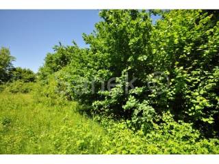 Land, Sale, Sveta Nedelja