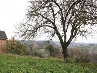Plot for construction, Sale, Samobor - Okolica, Mala Rakovica