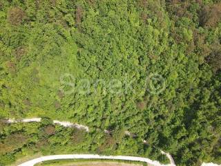 Forest, Sale, Samobor - Okolica, Smerovišće