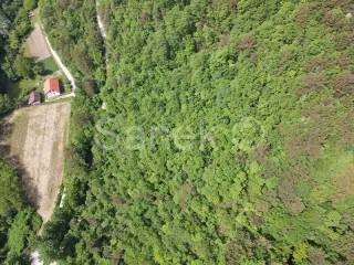 Forest, Sale, Samobor - Okolica, Smerovišće