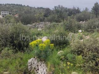Plot for construction, Sale, Marina, Marina