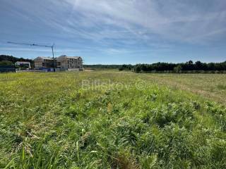 Plot for residential construction, Sale, Barban, Želiski