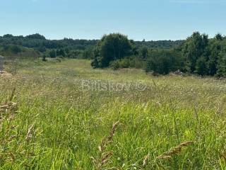 Plot for residential construction, Sale, Barban, Želiski