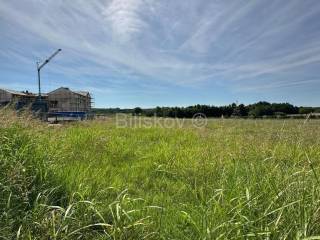 Plot for residential construction, Sale, Barban, Želiski
