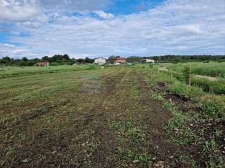 Agricultural plot, Sale, Biograd na Moru, Biograd na Moru