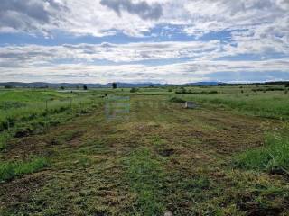 Agricultural plot, Sale, Biograd na Moru, Biograd na Moru