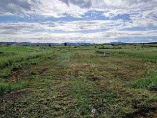 Agricultural plot, Sale, Biograd na Moru, Biograd na Moru