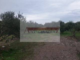 Agricultural plot, Sale, Nerežišća, Donji Humac
