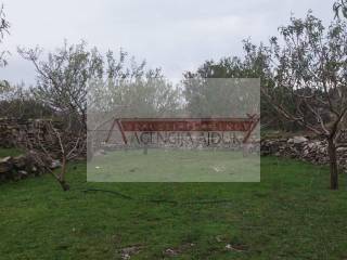 Agricultural plot, Sale, Nerežišća, Donji Humac