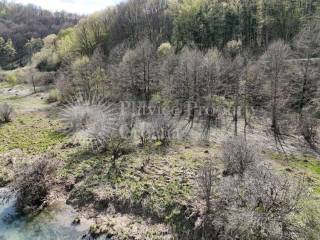 Agricultural plot, Sale, Slunj, Bukovac Perjasički