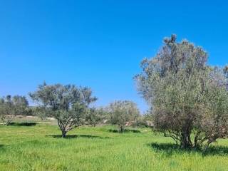 Plot for construction, Sale, Sukošan, Sukošan