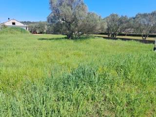 Plot for construction, Sale, Sukošan, Sukošan