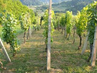 Detached house, Sale, Pregrada, Vinagora