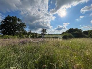 Plot for construction of mixed-use property, Sale, Žminj, Gržini