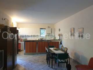 House with apartments, Sale, Jasenice, Maslenica