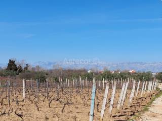 Plot for construction, Sale, Nin, Grbe