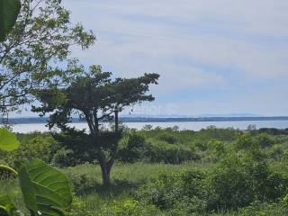 Plot for construction, Sale, Vrsi, Vrsi