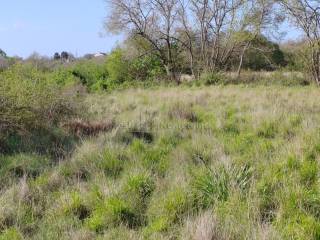 Agricultural plot, Sale, Poličnik, Briševo