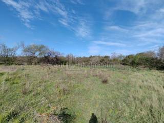 Agricultural plot, Sale, Poličnik, Briševo