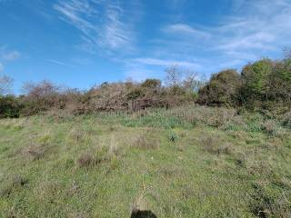 Agricultural plot, Sale, Poličnik, Briševo