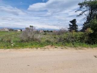 Plot for construction, Sale, Nin, Nin