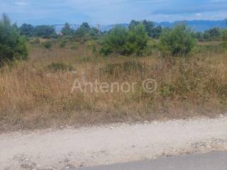 Agricultural plot, Sale, Nin, Nin