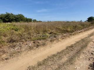 Agricultural plot, Sale, Nin, Nin