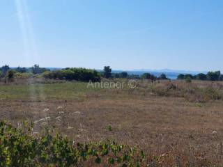 Agricultural plot, Sale, Nin, Nin