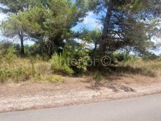 Agricultural plot, Sale, Nin, Nin