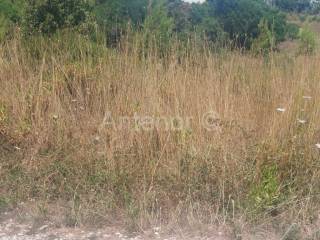 Agricultural plot, Sale, Nin, Nin