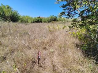 Plot for construction, Sale, Privlaka, Privlaka
