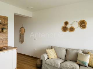 Apartment by the sea, Sale, Vrsi, Zukve