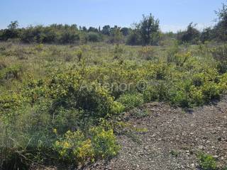 Agricultural plot, Sale, Nin, Nin