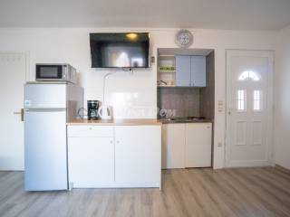 House with apartments, Sale, Vir, Vir