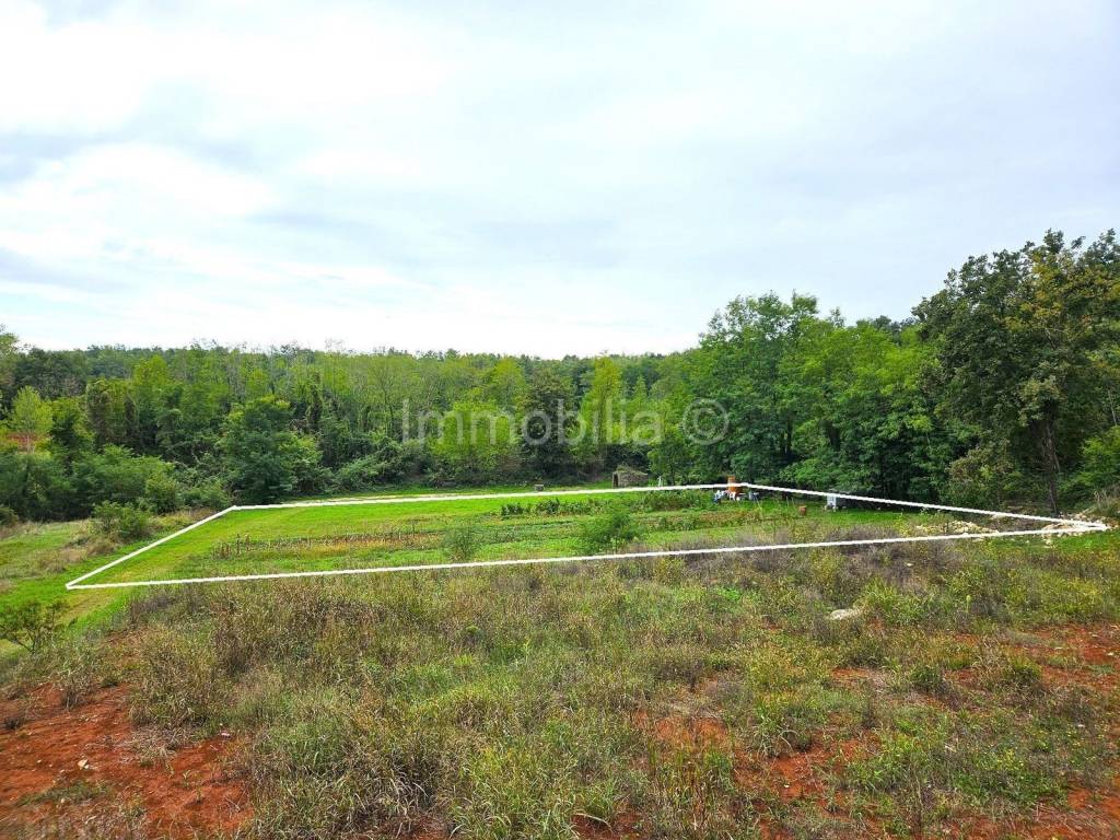 Plot for construction, Sale, Karojba, Karojba