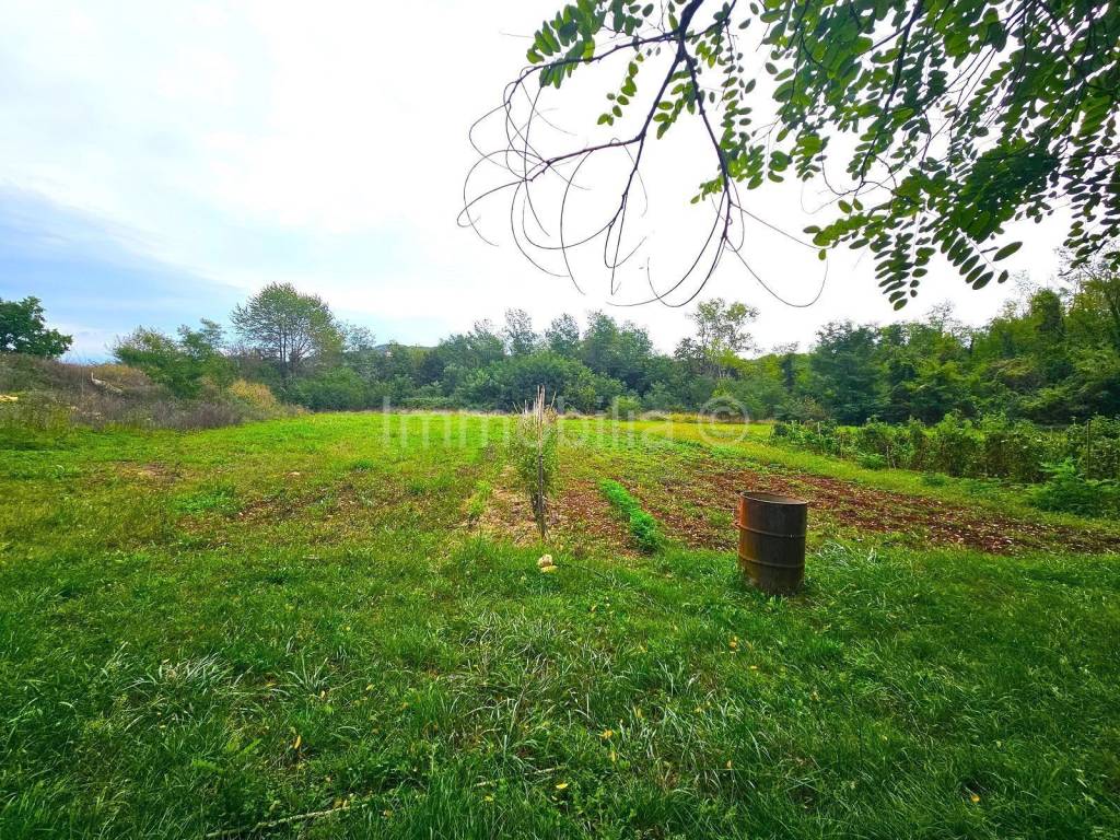 Plot for construction, Sale, Karojba, Karojba