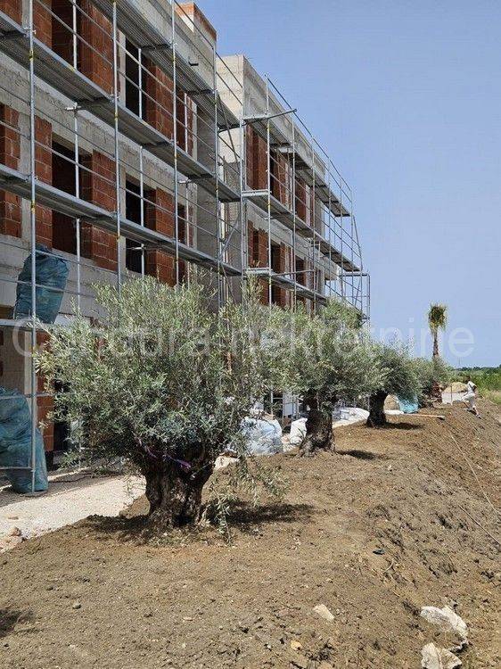 Apartment by the sea, Sale, Privlaka, Privlaka